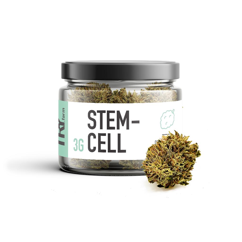 "Stem Cell" CBG Blüten | 3g